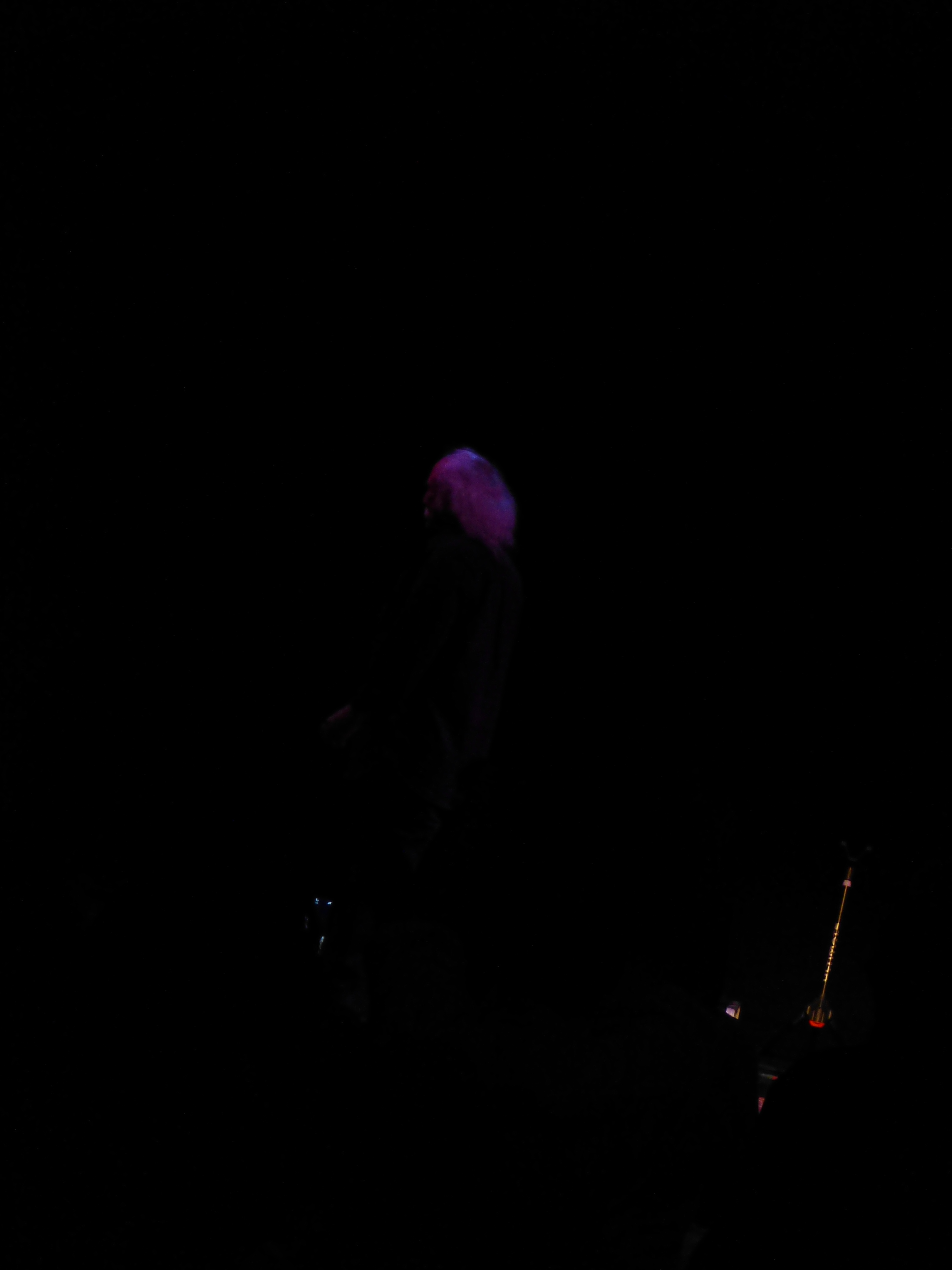 DavidCrosby2015-06-12CapitolTheaterClearwaterFL (18).JPG